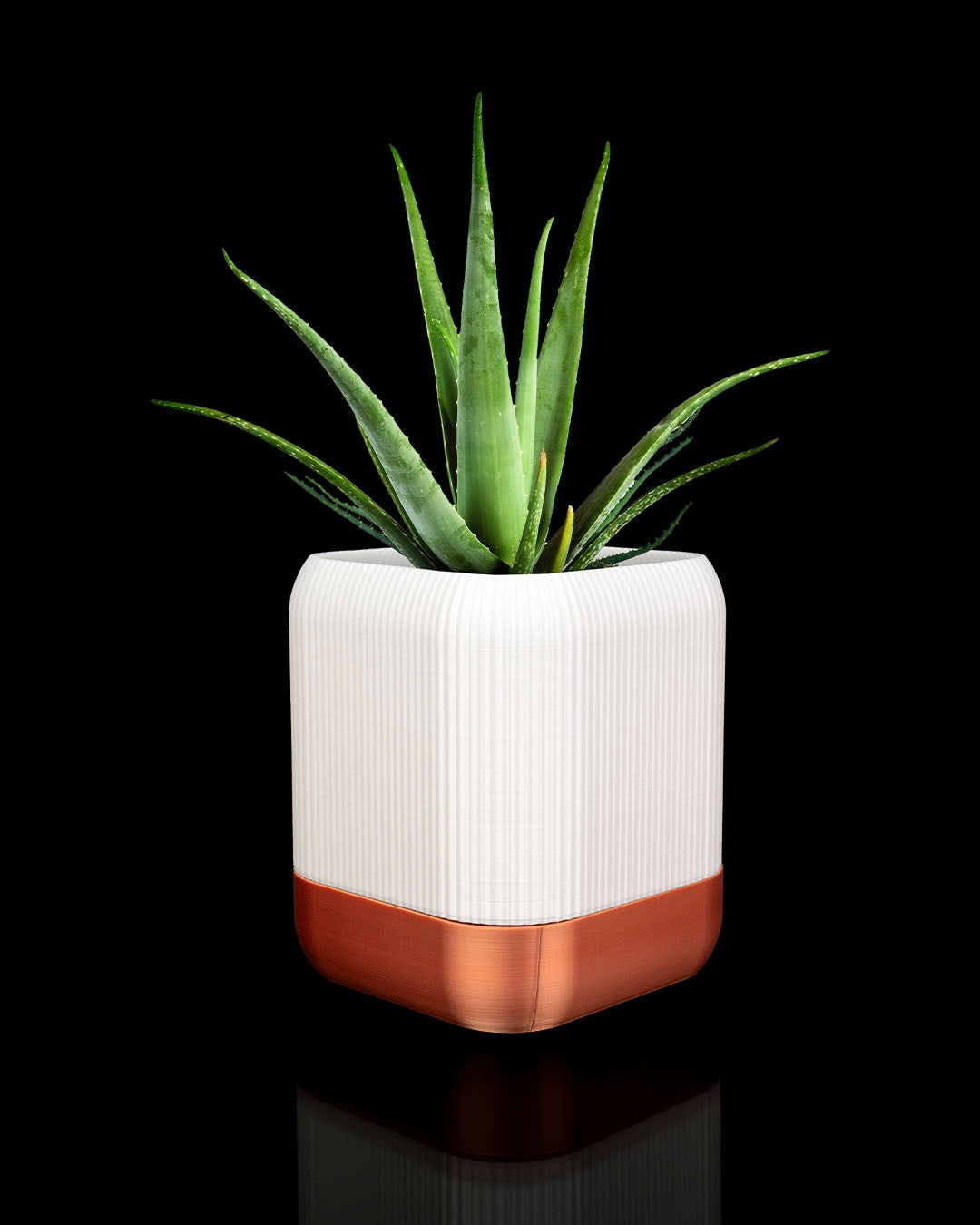 Self-Watering 3D Printed Planter | Modern Indoor Pot with Hydration System
